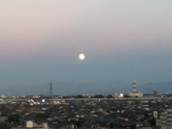 肉眼では大きかったんですけどね…(≧◇≦)