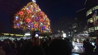中山のクリスマスツリーイルミネーション
