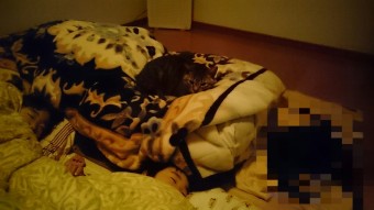 Fotor_148475038141251