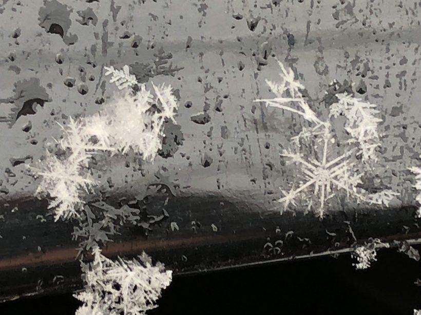 スマホで雪の結晶を撮影できる スマホで雪の結晶を撮影できる