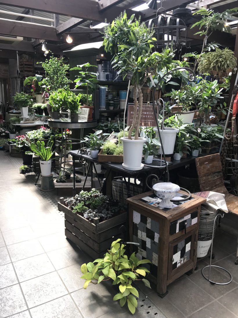 素敵なお花屋さん ウィザップ スタッフブログ 素敵なお花屋さん ウィザップ スタッフブログ