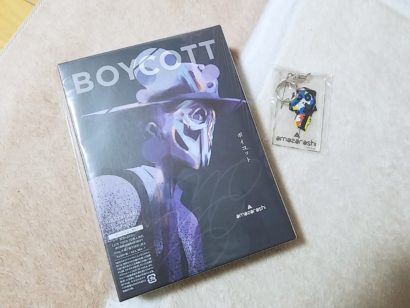 ボイコットを堪能するという話 ボイコットを堪能するという話
