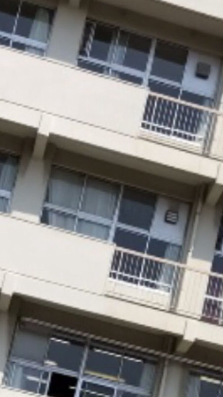 市 小学校 夏休み さいたま